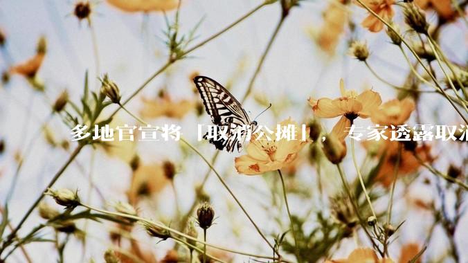 多地官宣将「取消公摊」，专家透露取消公摊是 2025 年的一项重要工作，将对房地产市场带来哪些影响？